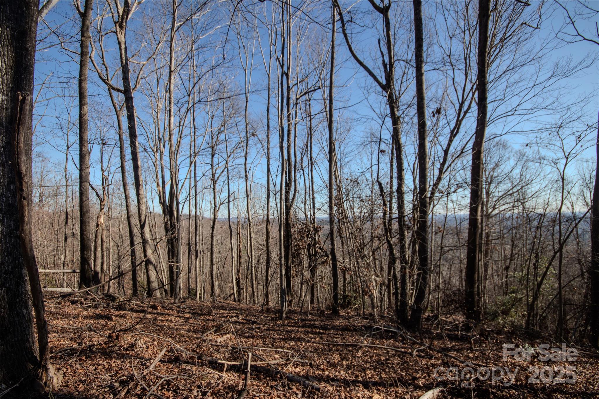 2211 Nighthawk Ridge Court Lenoir NC 28645