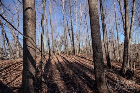 2211 Nighthawk Ridge Court Lenoir NC 28645