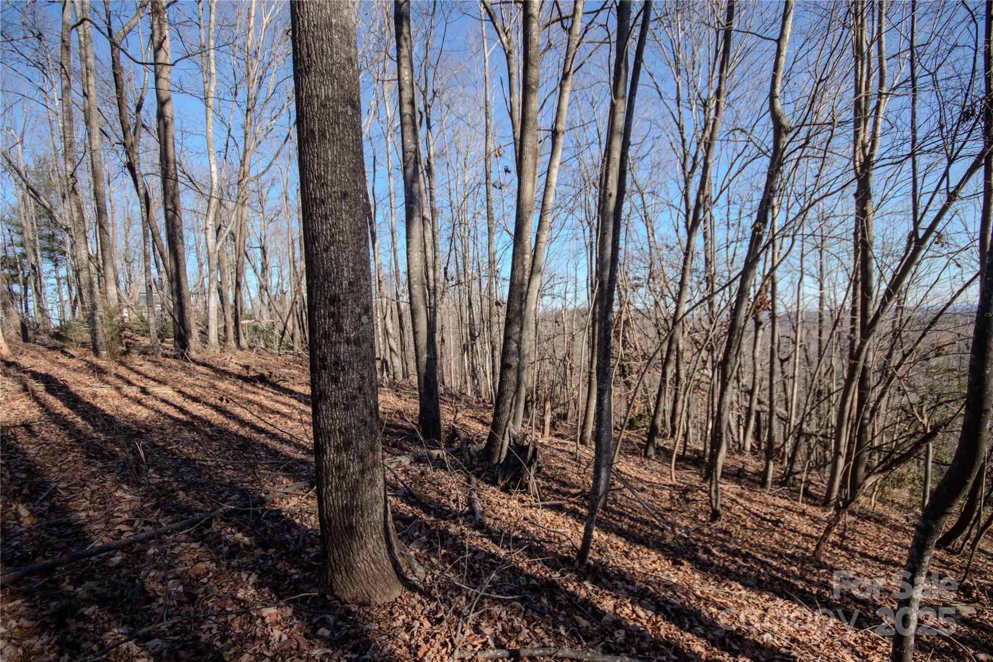 2211 Nighthawk Ridge Court Lenoir NC 28645