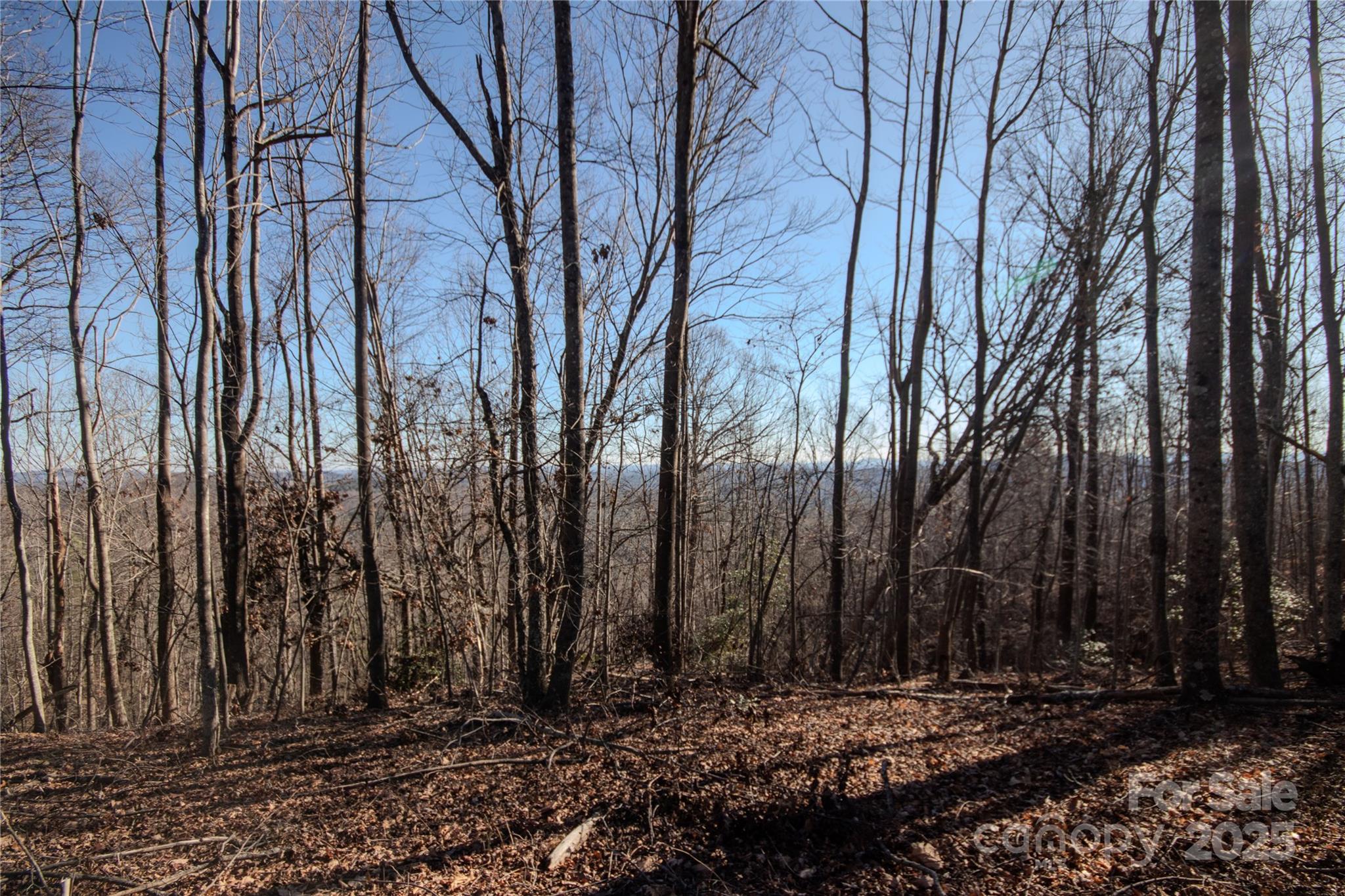 2211 Nighthawk Ridge Court Lenoir NC 28645