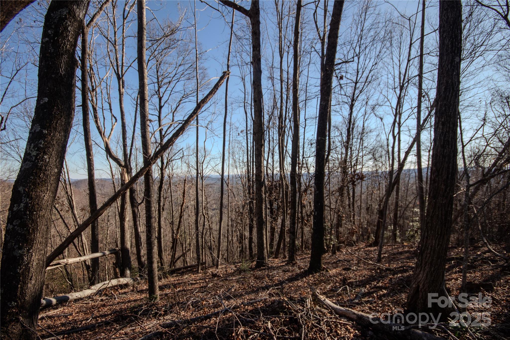 2211 Nighthawk Ridge Court Lenoir NC 28645