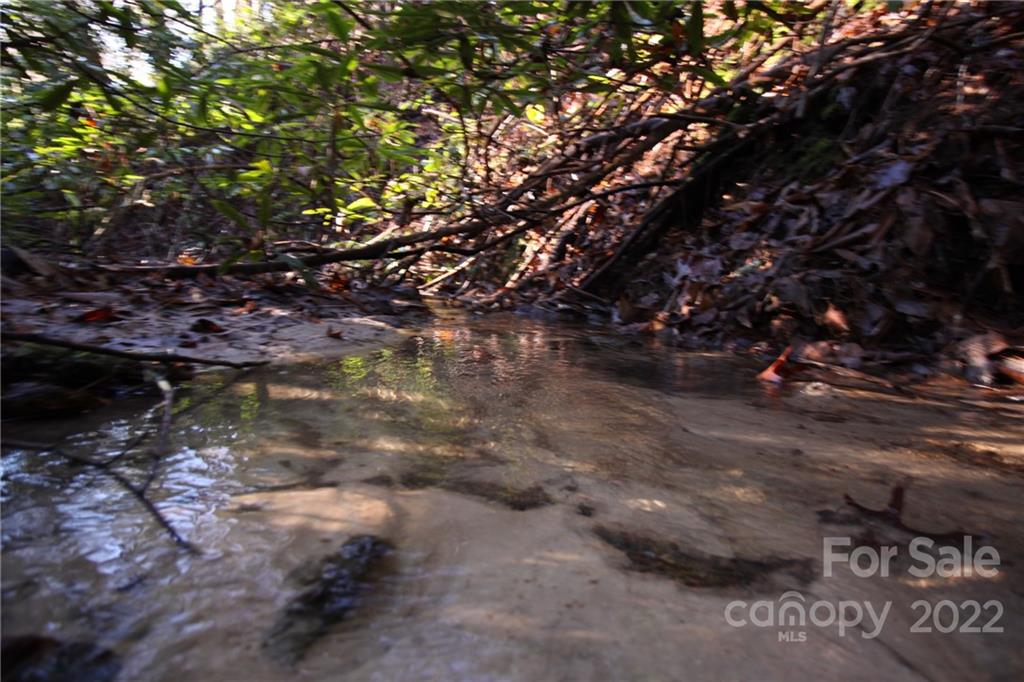 Lot 19 Gastons Bee Gum Road Brevard NC 28712
