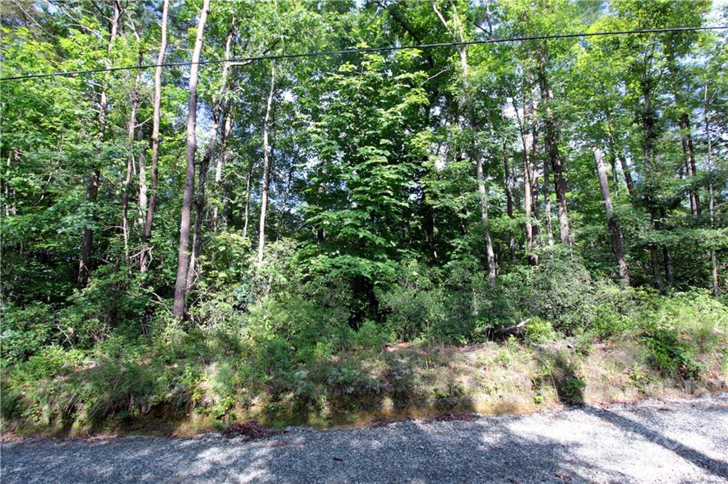 Lot 19 Gastons Bee Gum Road Brevard NC 28712