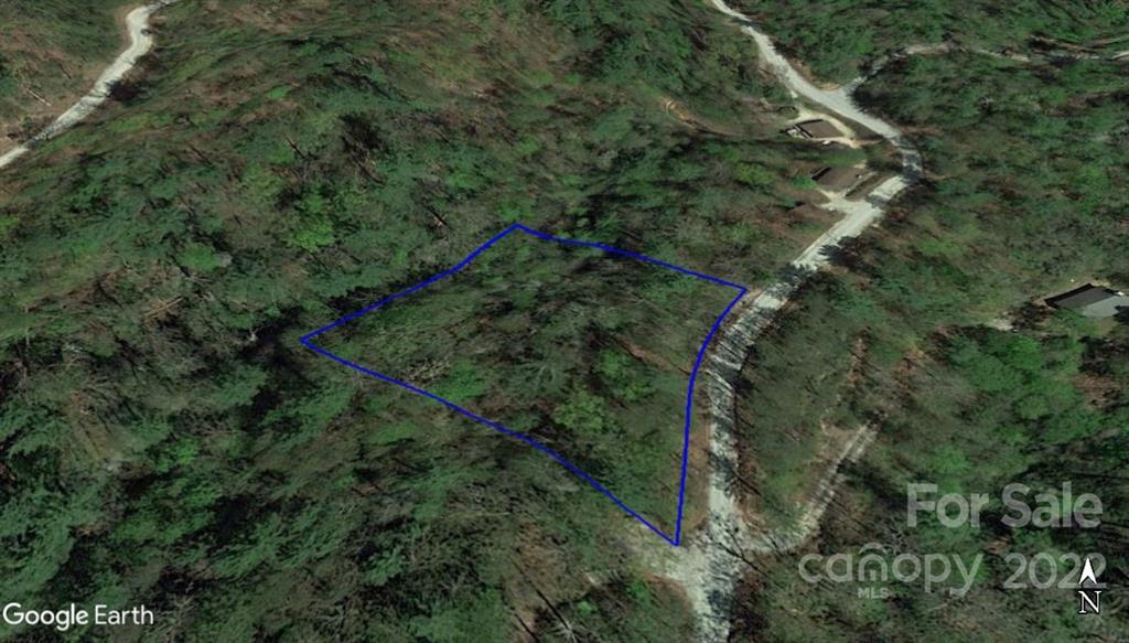 Lot 19 Gastons Bee Gum Road Brevard NC 28712