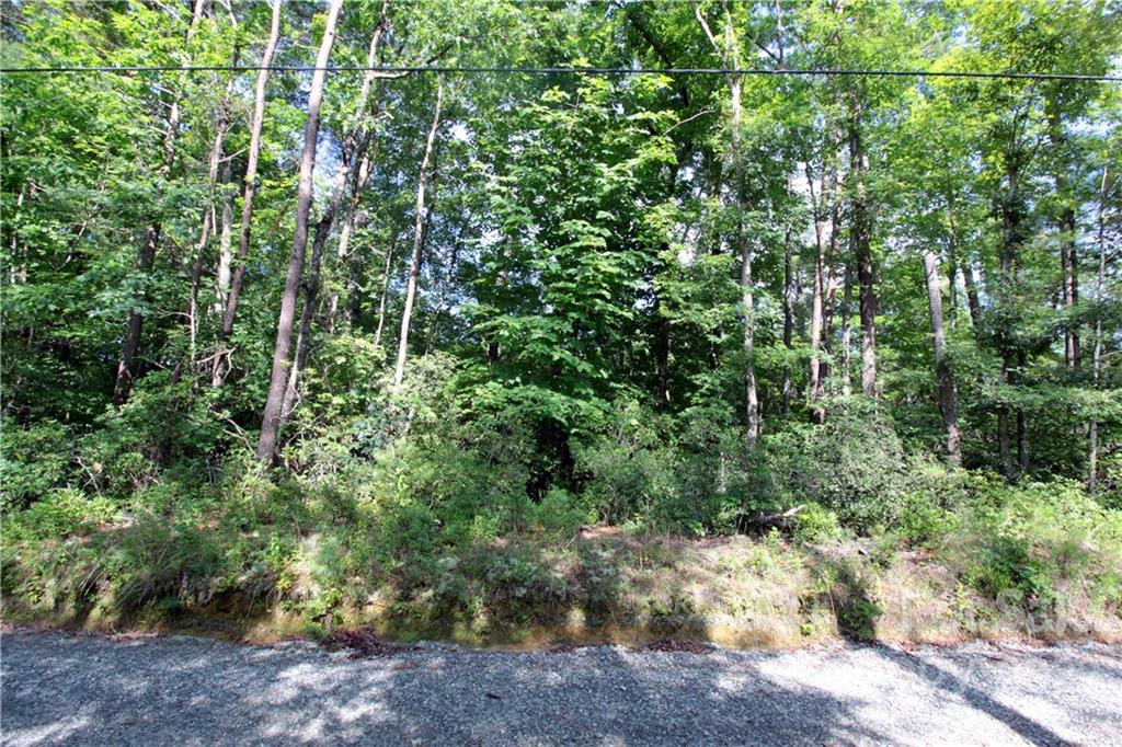 Lot 19 Gastons Bee Gum Road Brevard NC 28712