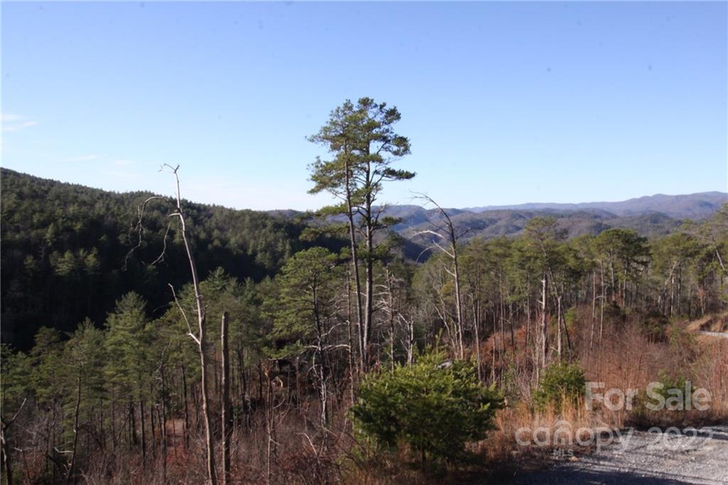Lot 19 Gastons Bee Gum Road Brevard NC 28712