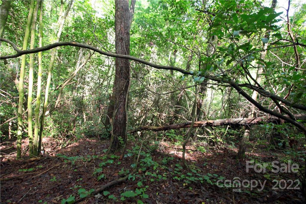 Lot 19 Gastons Bee Gum Road Brevard NC 28712