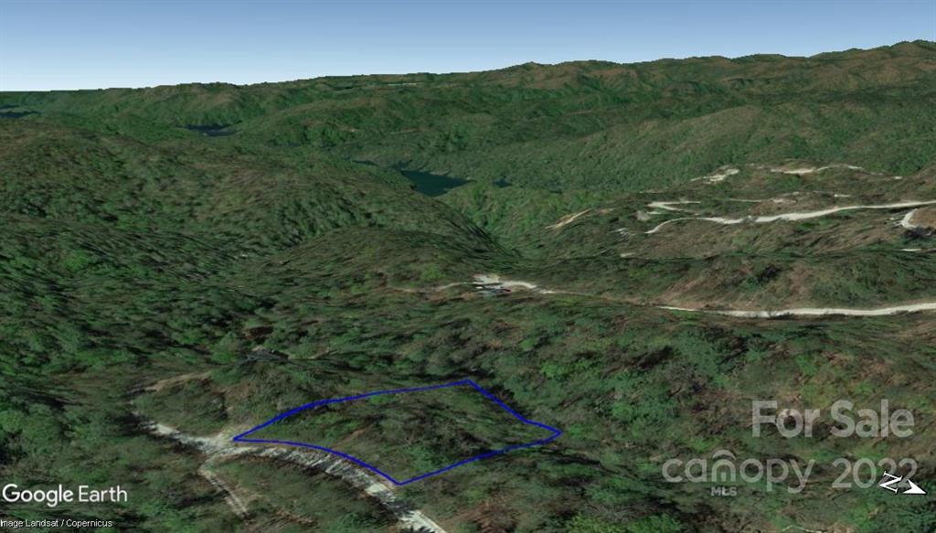 Lot 19 Gastons Bee Gum Road Brevard NC 28712