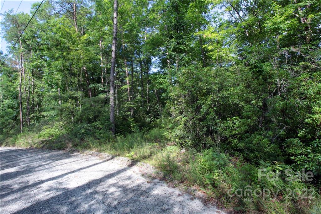 Lot 19 Gastons Bee Gum Road Brevard NC 28712