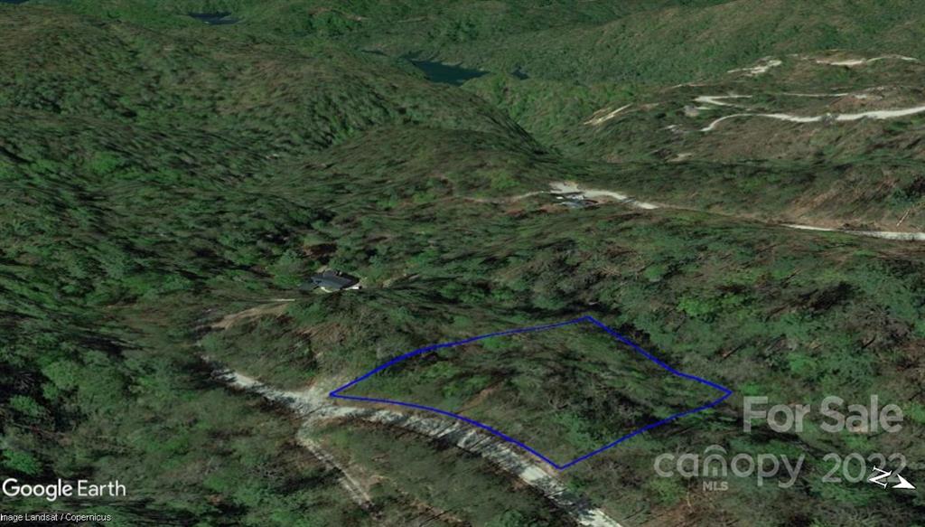 Lot 19 Gastons Bee Gum Road Brevard NC 28712