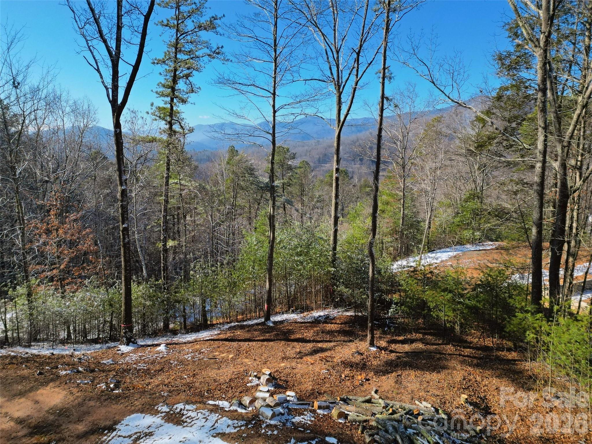 3 Dream Valley Drive Clyde NC 28721