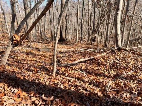 Lot 1 Nc Highway 226 Highway S Union Mills NC 28167