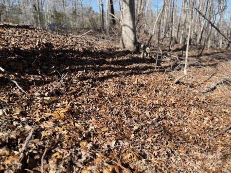 Lot 1 Nc Highway 226 Highway S Union Mills NC 28167