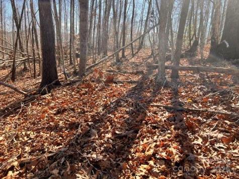 Lot 1 Nc Highway 226 Highway S Union Mills NC 28167