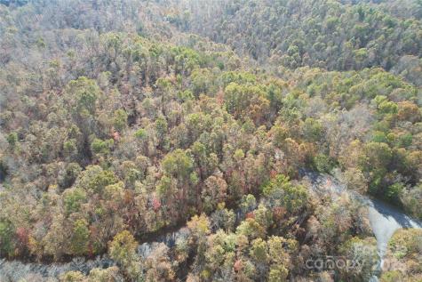 Lot 1 Nc Highway 226 Highway S Union Mills NC 28167