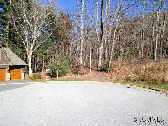 9 Waterside Drive Asheville NC 28804