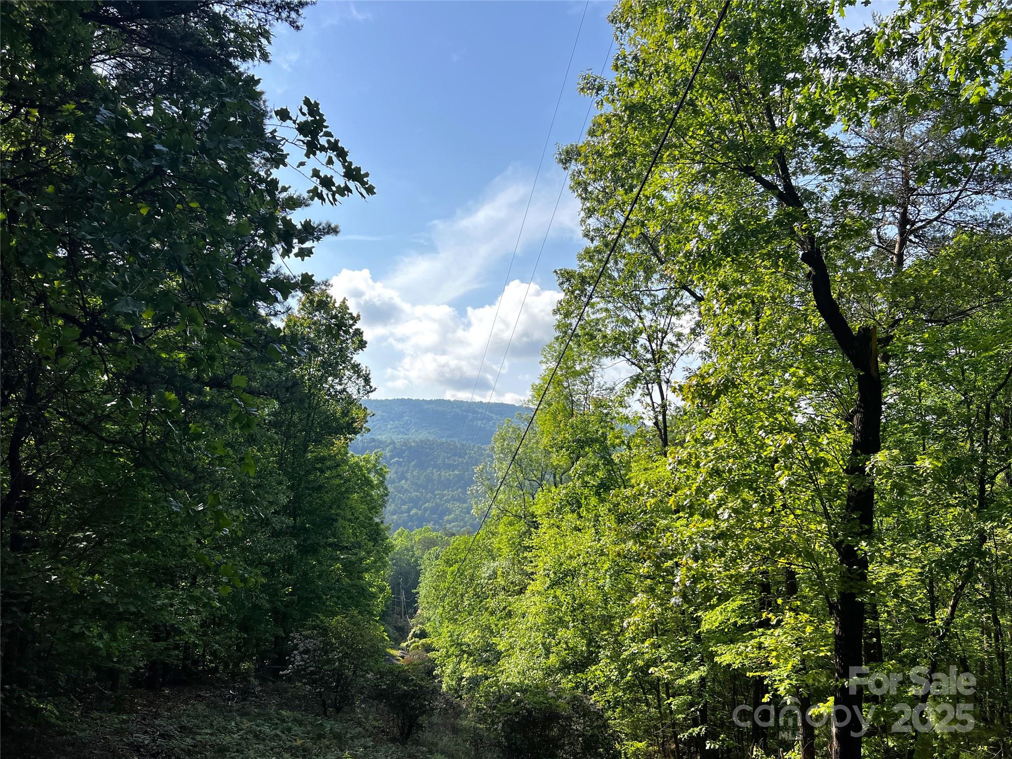 Lot 16 Arrowhead Ridge Brevard NC 28712