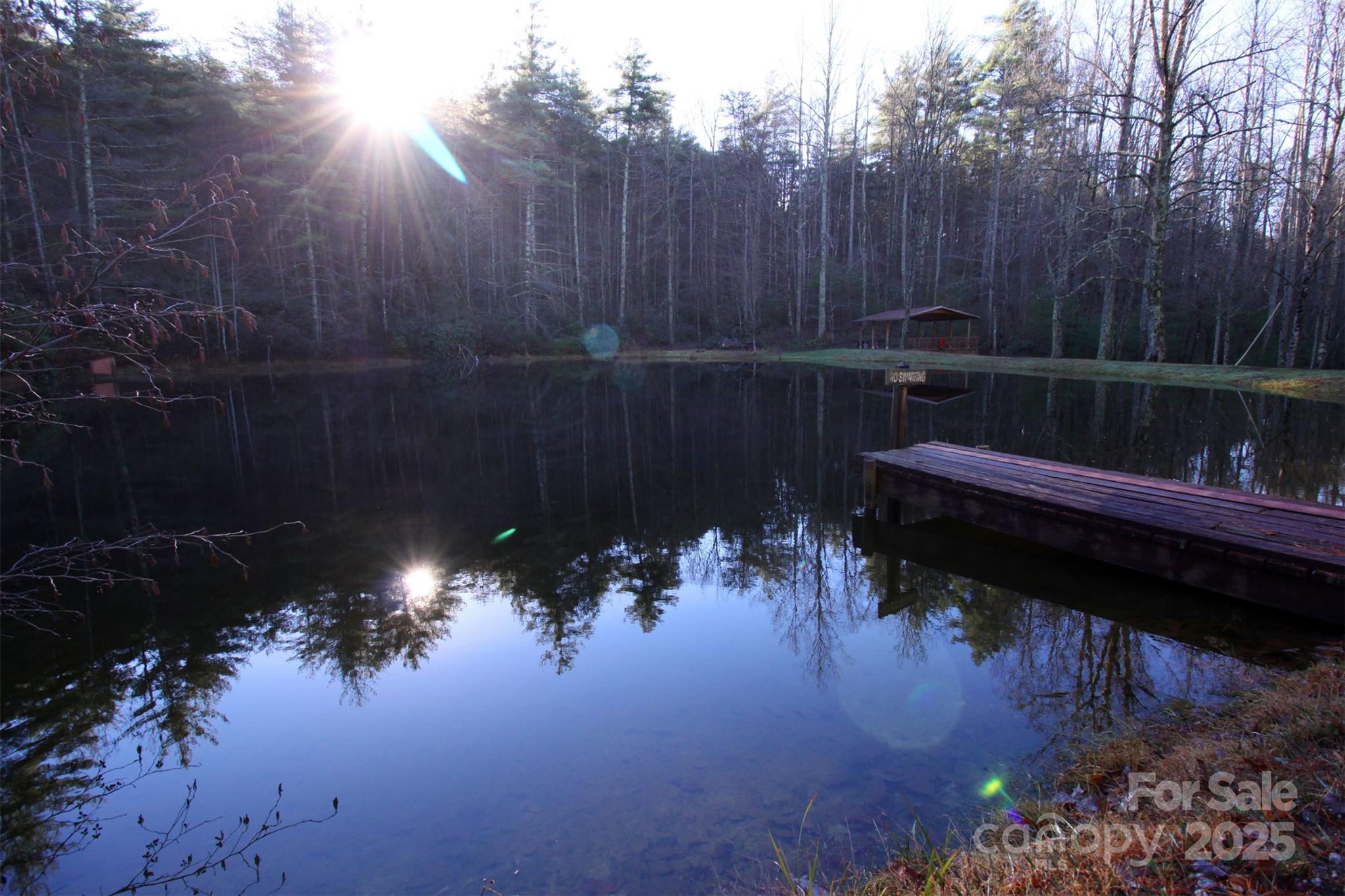 Lot 16 Arrowhead Ridge Brevard NC 28712