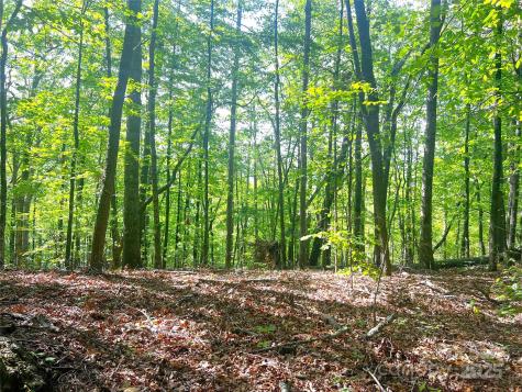 Lot 16 Arrowhead Ridge Brevard NC 28712