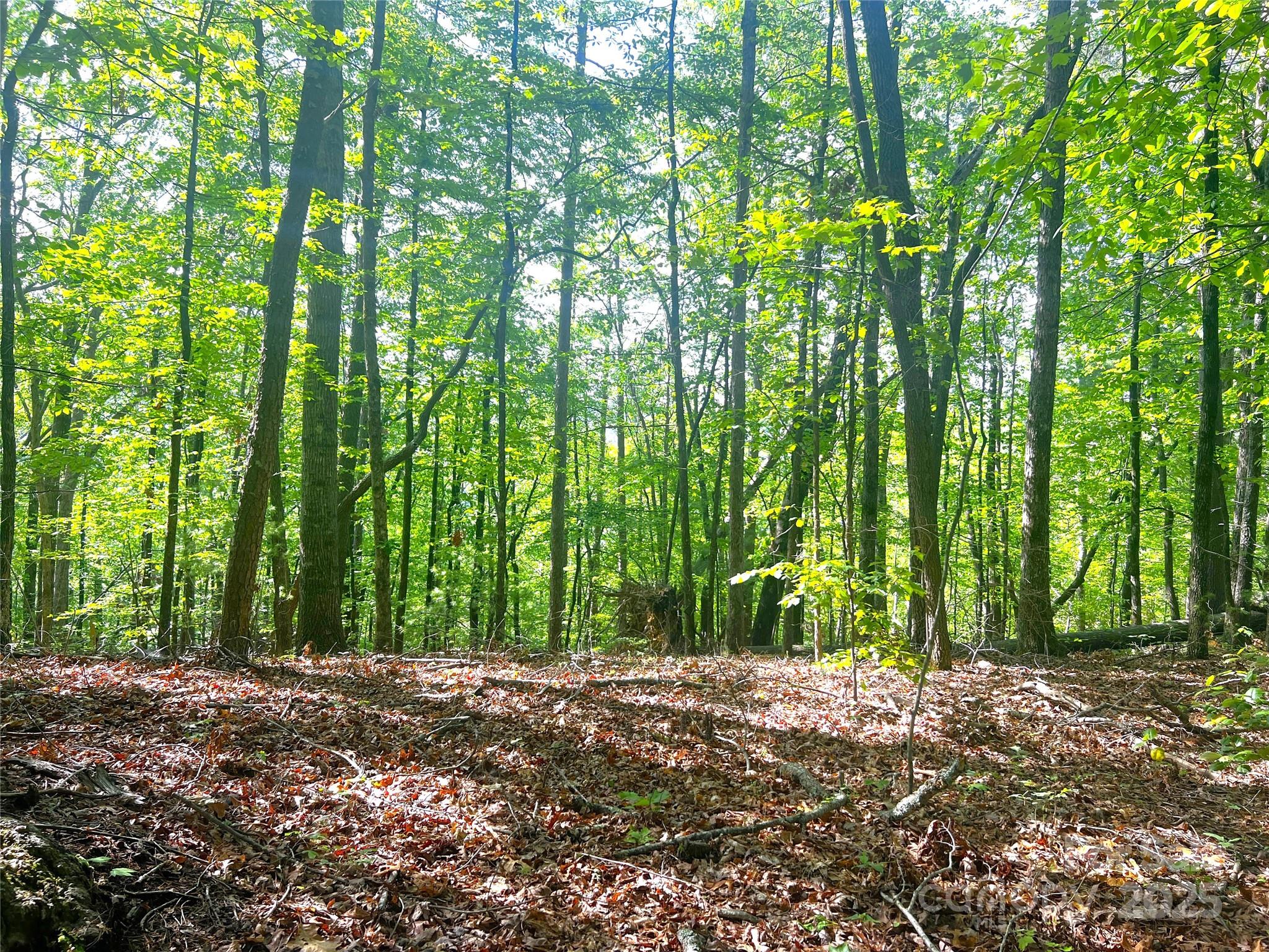 Lot 16 Arrowhead Ridge Brevard NC 28712