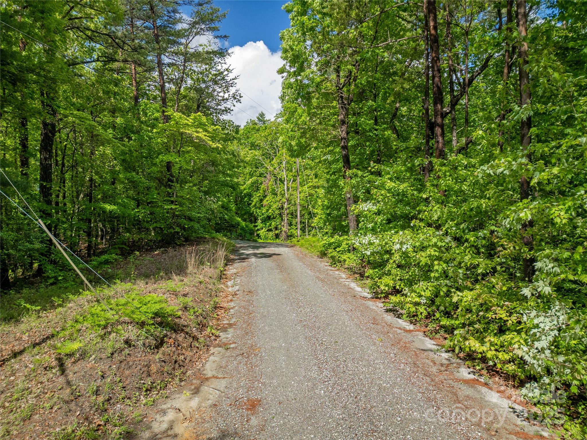 Lot 16 Arrowhead Ridge Brevard NC 28712