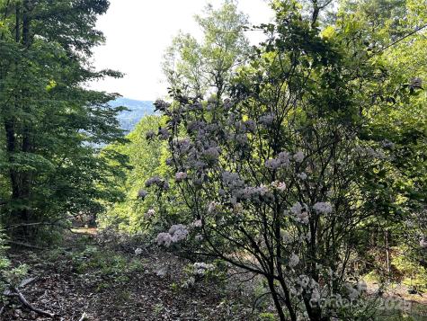 Lot 16 Arrowhead Ridge Brevard NC 28712