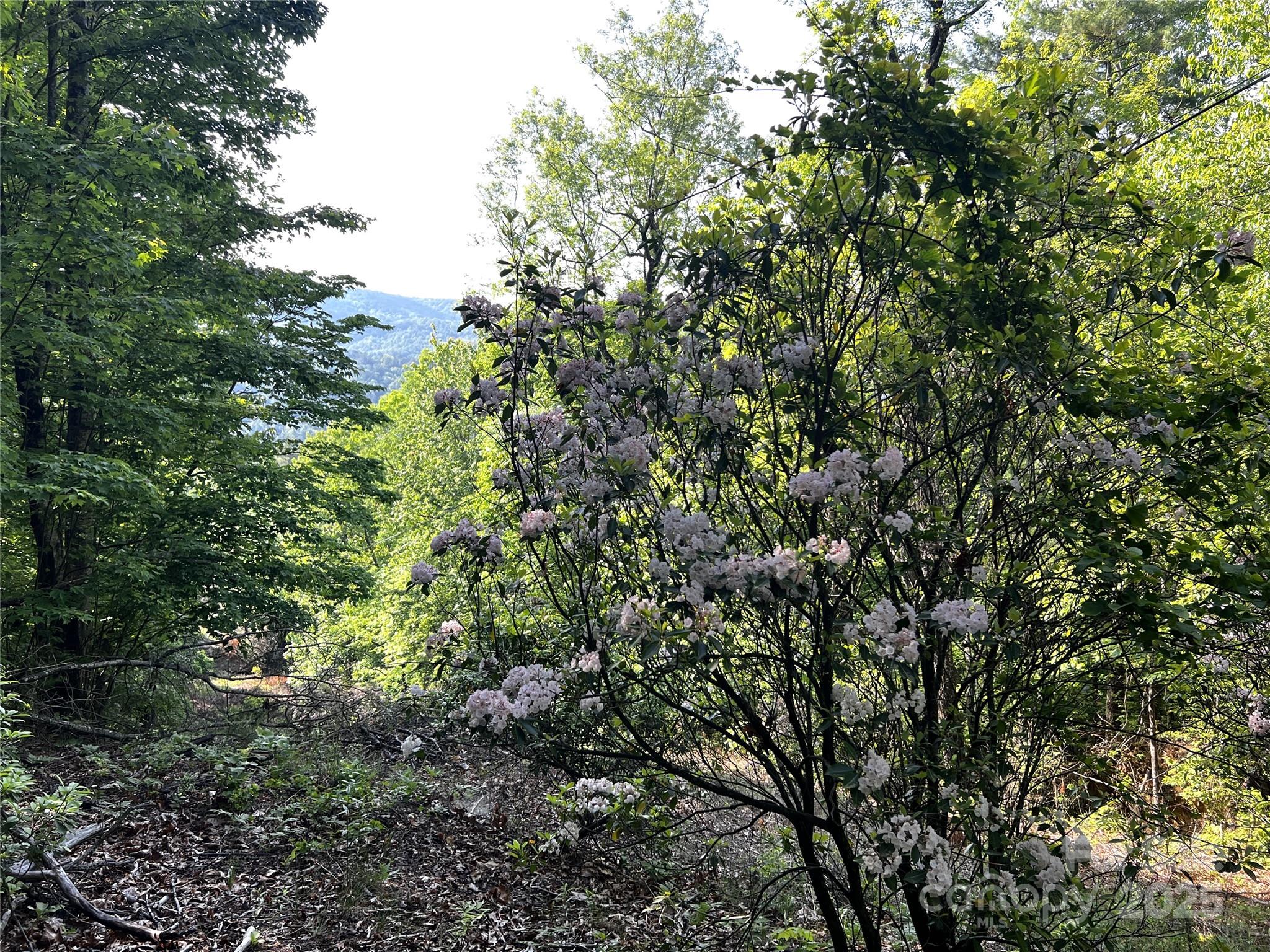 Lot 16 Arrowhead Ridge Brevard NC 28712