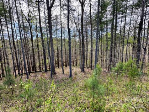 234 E Settings Boulevard NW Valdese NC 28609