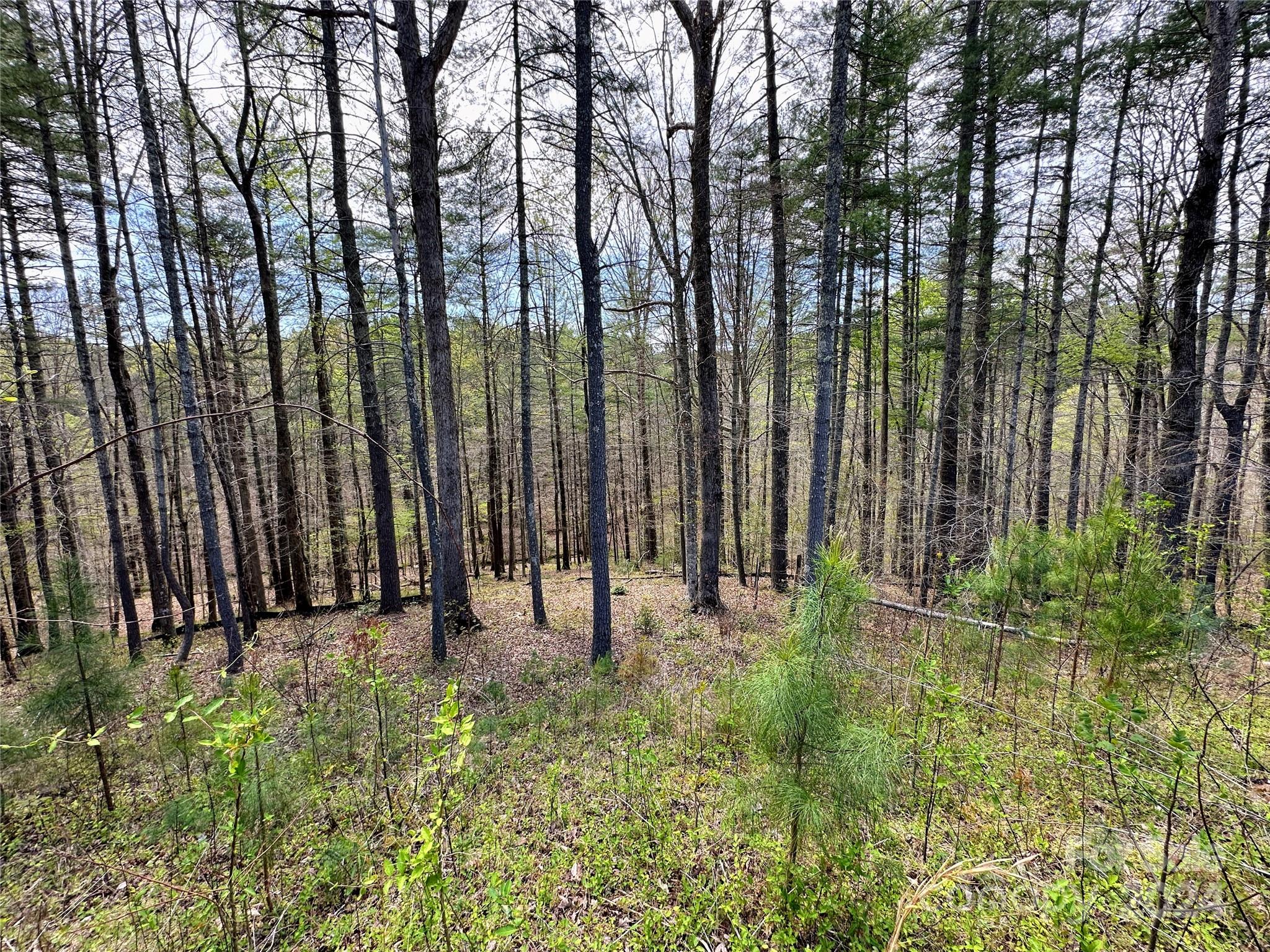 234 E Settings Boulevard NW Valdese NC 28609