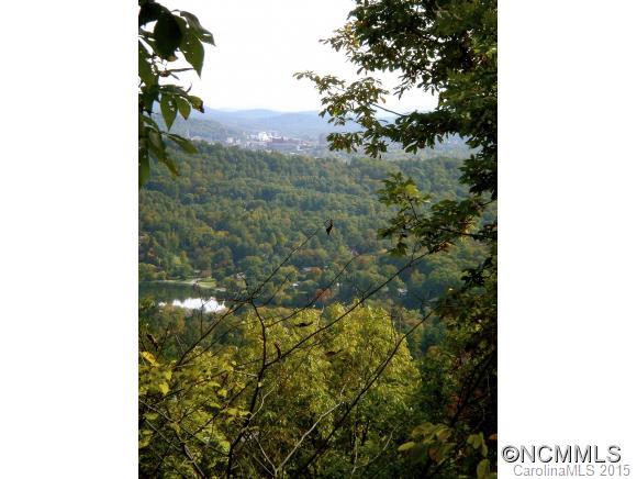 36 Lake Town Lane Asheville NC 28804