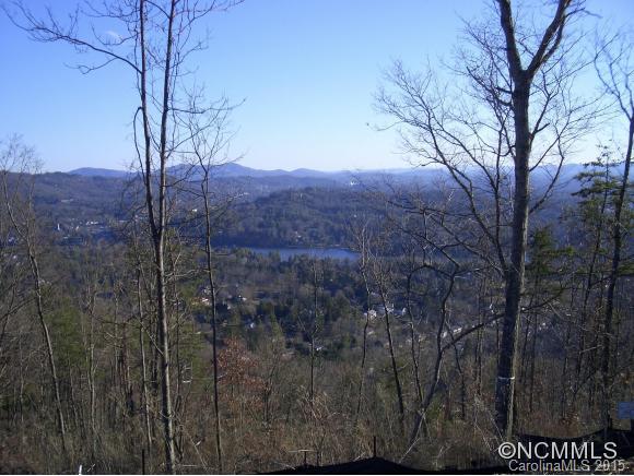 36 Lake Town Lane Asheville NC 28804