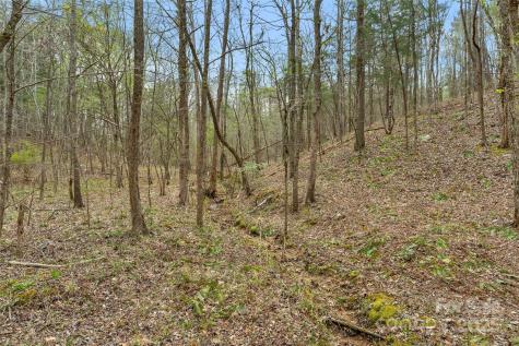 0000 J B Denton Road Lancaster SC 29720