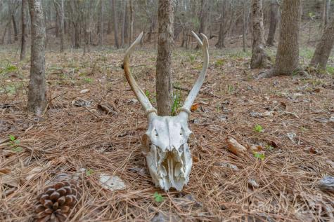 0000 J B Denton Road Lancaster SC 29720