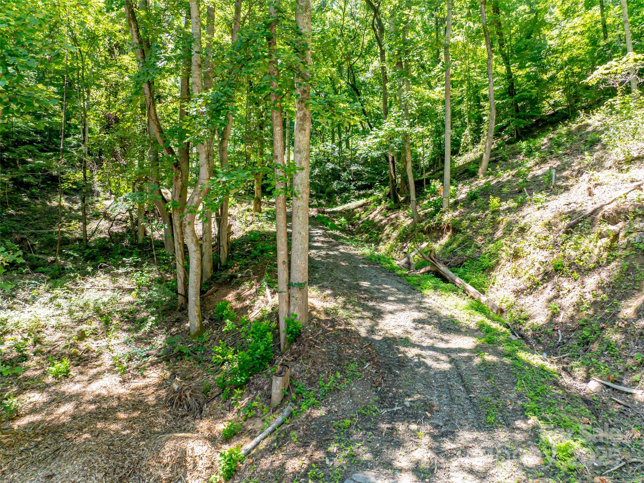 99999 Running Deer Lane Mars Hill NC 28754