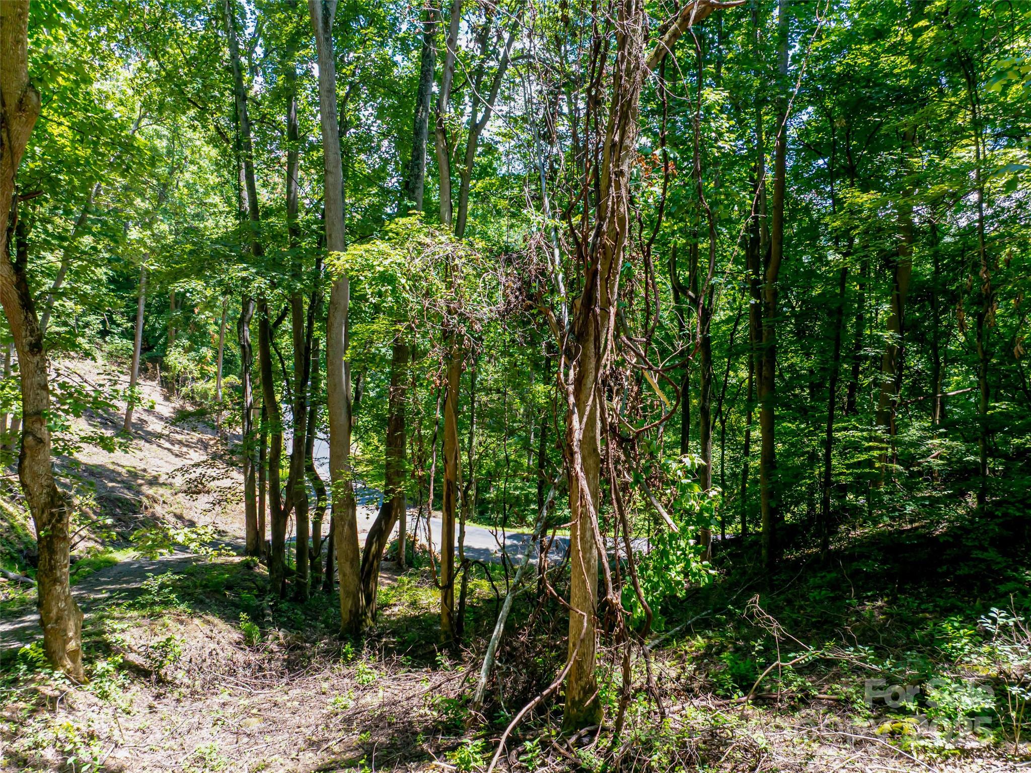 99999 Running Deer Lane Mars Hill NC 28754