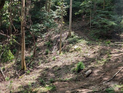 99999 Running Deer Lane Mars Hill NC 28754
