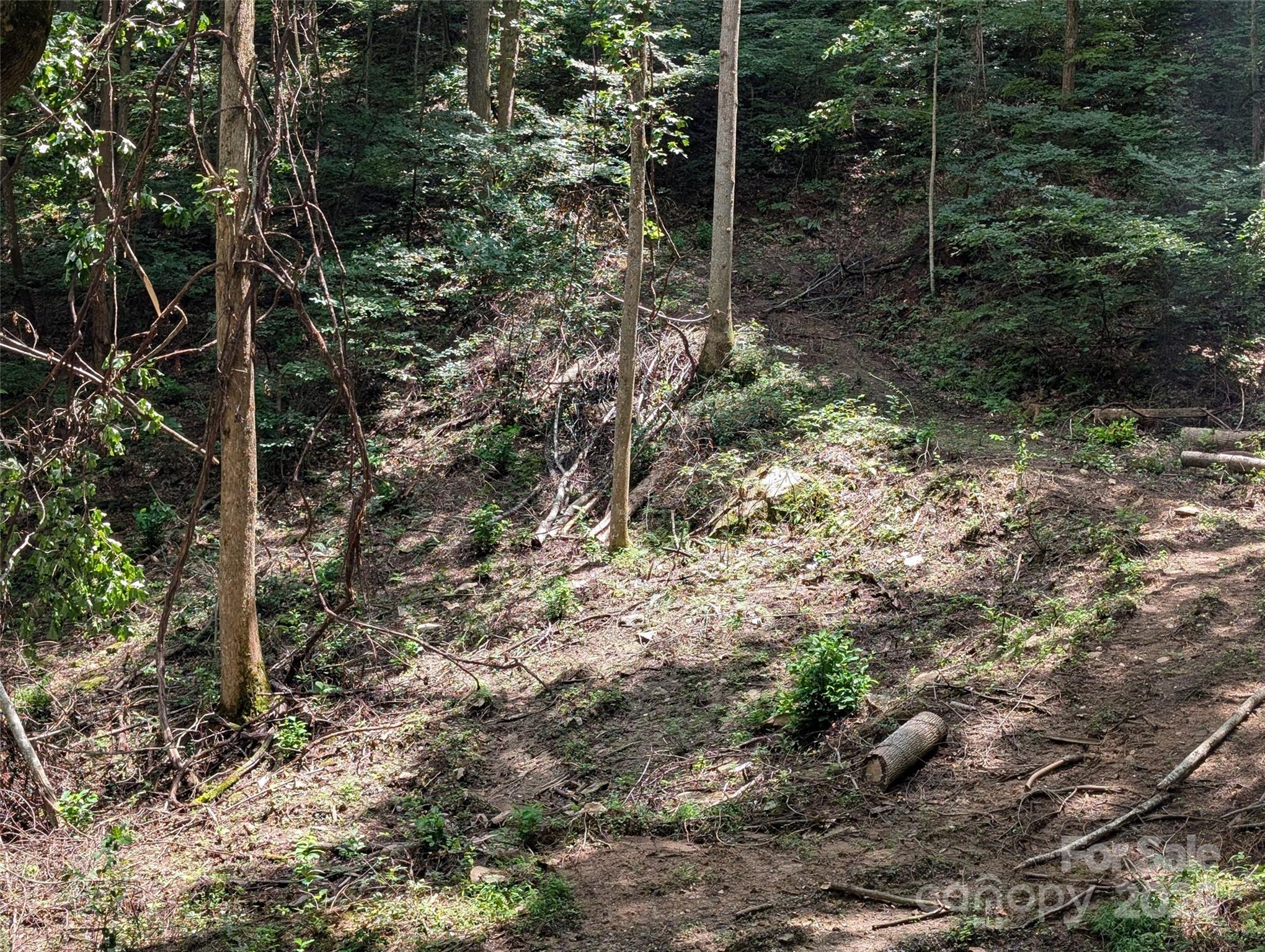 99999 Running Deer Lane Mars Hill NC 28754