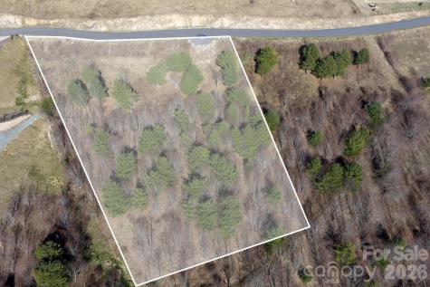 Lot S3 Sky Rock Trail Banner Elk NC 28604