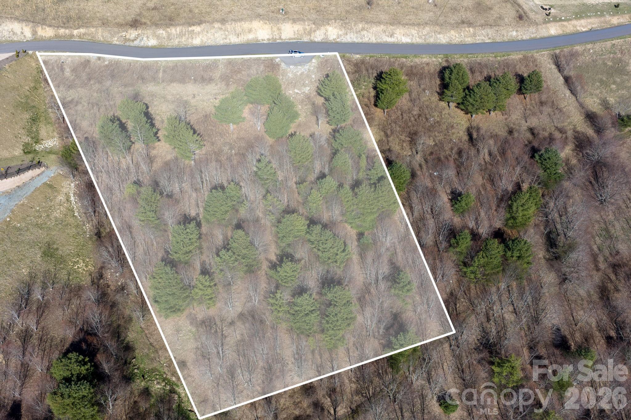 Lot S3 Sky Rock Trail Banner Elk NC 28604