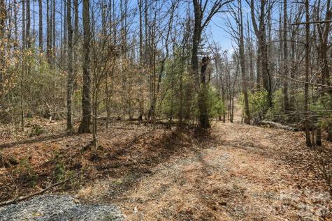 00002 Ray Hill Road Mills River NC 28759