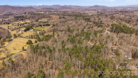 00002 Ray Hill Road Mills River NC 28759