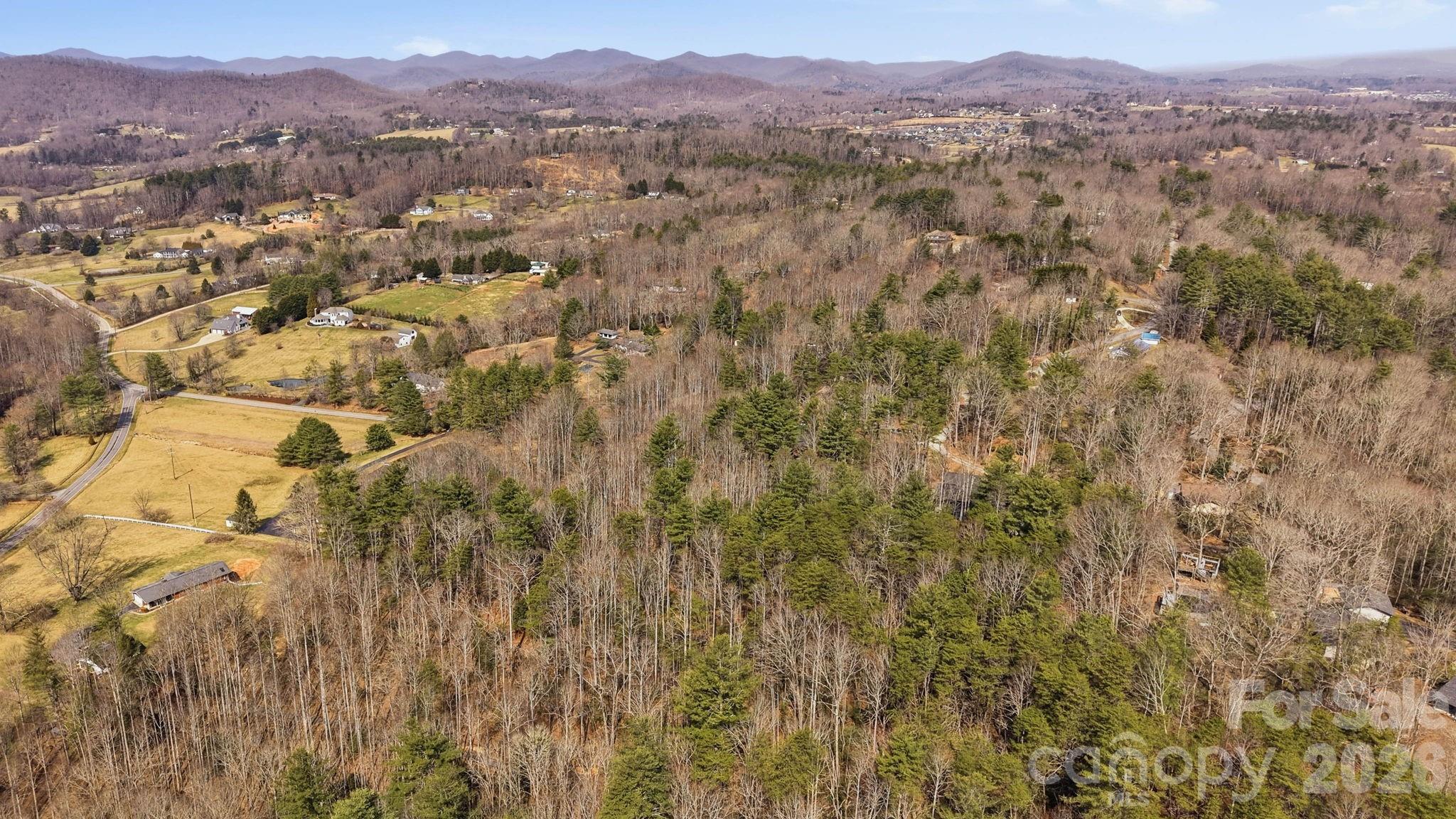 00002 Ray Hill Road Mills River NC 28759
