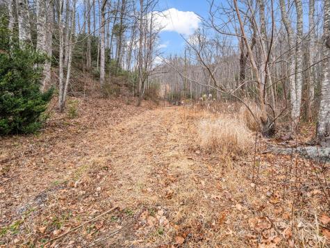2726 Lower Flat Creek Road Black Mountain NC 28711