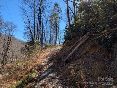 2726 Lower Flat Creek Road Black Mountain NC 28711