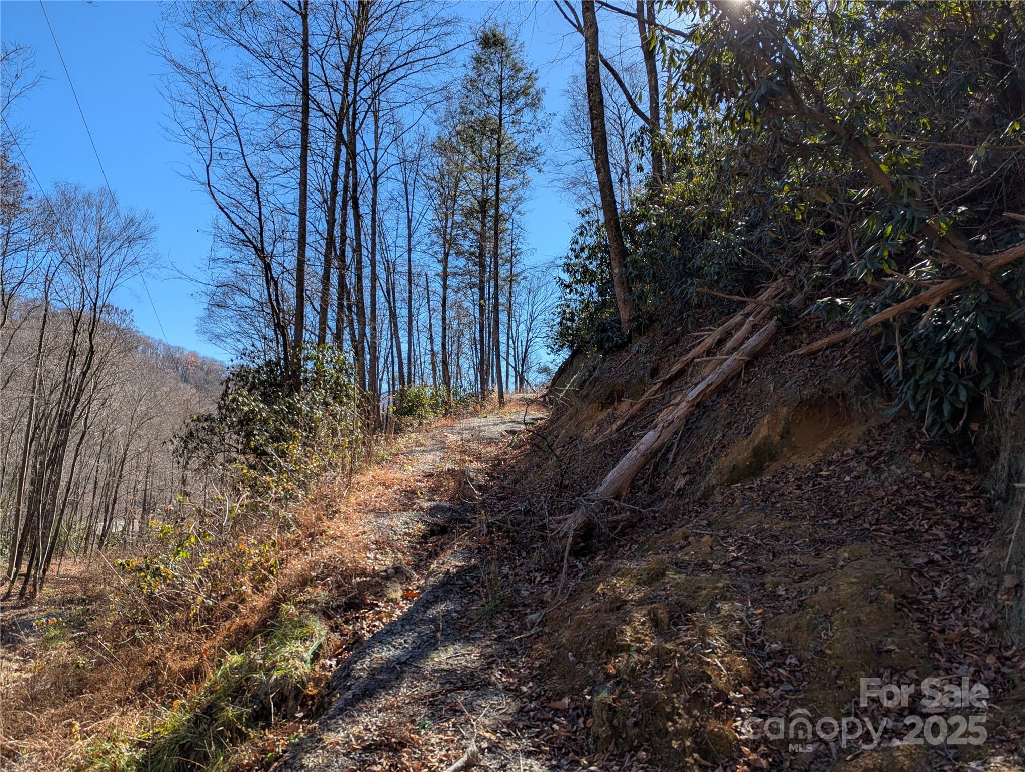 2726 Lower Flat Creek Road Black Mountain NC 28711