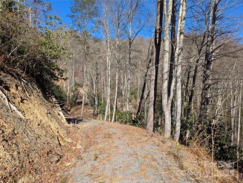 2726 Lower Flat Creek Road Black Mountain NC 28711