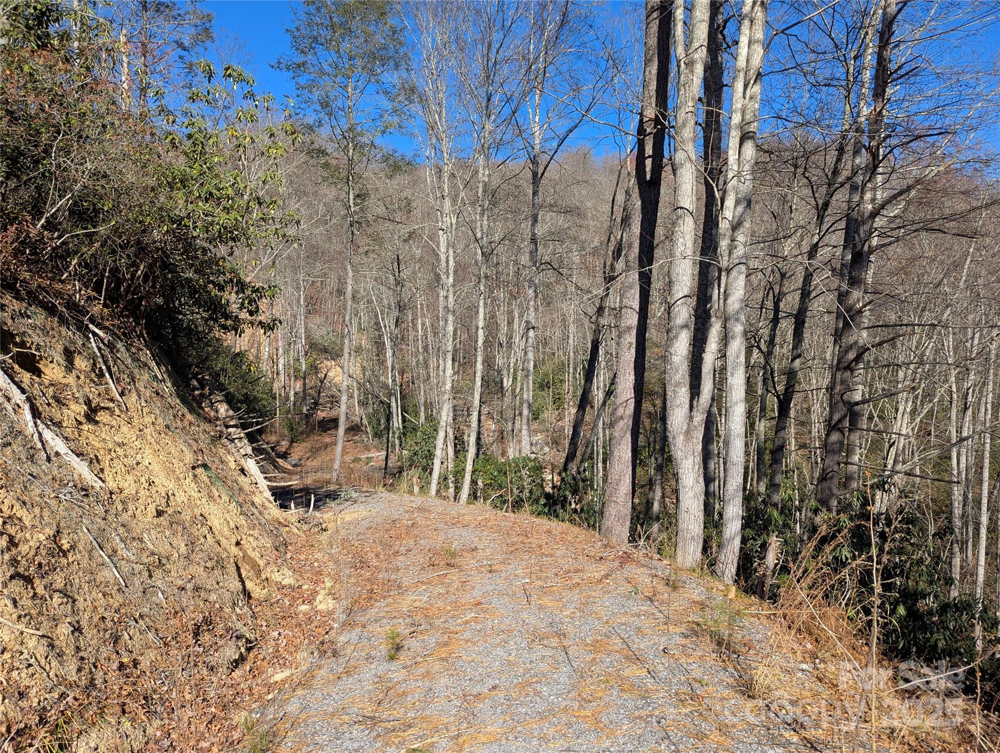 2726 Lower Flat Creek Road Black Mountain NC 28711