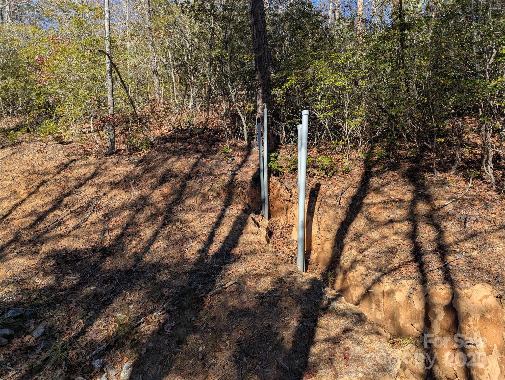 2726 Lower Flat Creek Road Black Mountain NC 28711