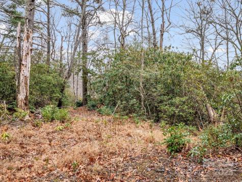 2726 Lower Flat Creek Road Black Mountain NC 28711