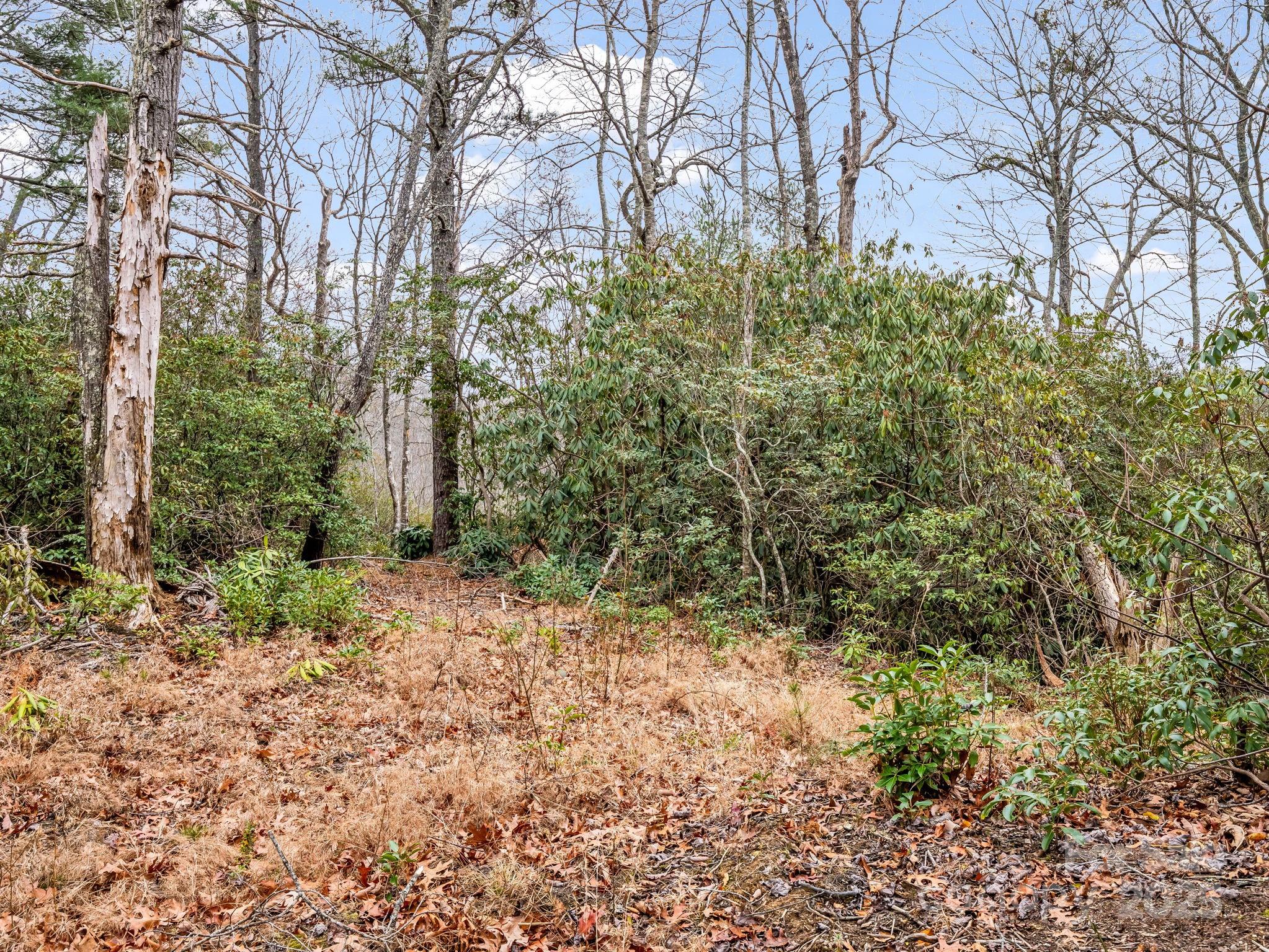 2726 Lower Flat Creek Road Black Mountain NC 28711